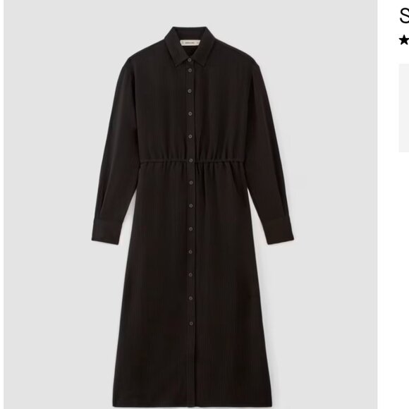 NWT Everlane The Mini Jacquard Stripe Shirt Dress L - Picture 5 of 6